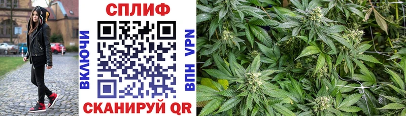 Каннабис OG Kush  Яблоновский 